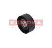 Expert I Van 2000 Tendicinghia poly v KAMOKA R0279 di qualità originale