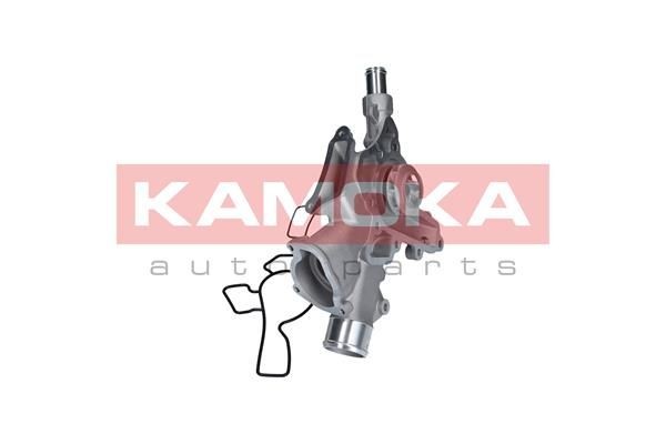 Pompa acqua KAMOKA T0225 valutazione
