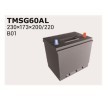 OEM Batterie 56069 IPSA TMSG60AL