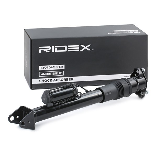 Tlumič pérování RIDEX 854S1829 odborné znalosti