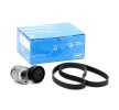 Buy RENAULT Serpentine belt kit VKM 36055 SKF VKMA36055 online