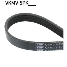 Keilrippenriemen SKF VKMV 5PK836