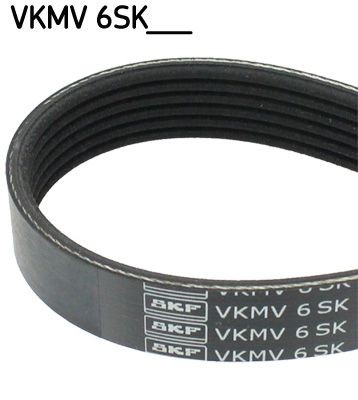 SKF  VKMV 6SK1019 Correa trapecial poli V Long.: 1019mm, Número de nervaduras: 6