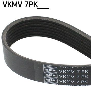 SKF  VKMV 7PK1035 Keilrippenriemen Länge: 1035mm, Rippenanzahl: 7