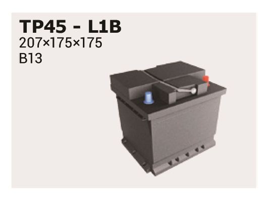 IPSA TP45 Batterie