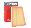 Filtro de aire motor FILTRON 13883328 Cartucho filtrante