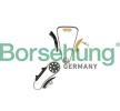 VW TOUAREG 2019 Timing chain 14173651 Borsehung B18846 in original quality