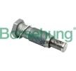 Buy VW Timing chain tensioner 14173893 Borsehung B1T012 online