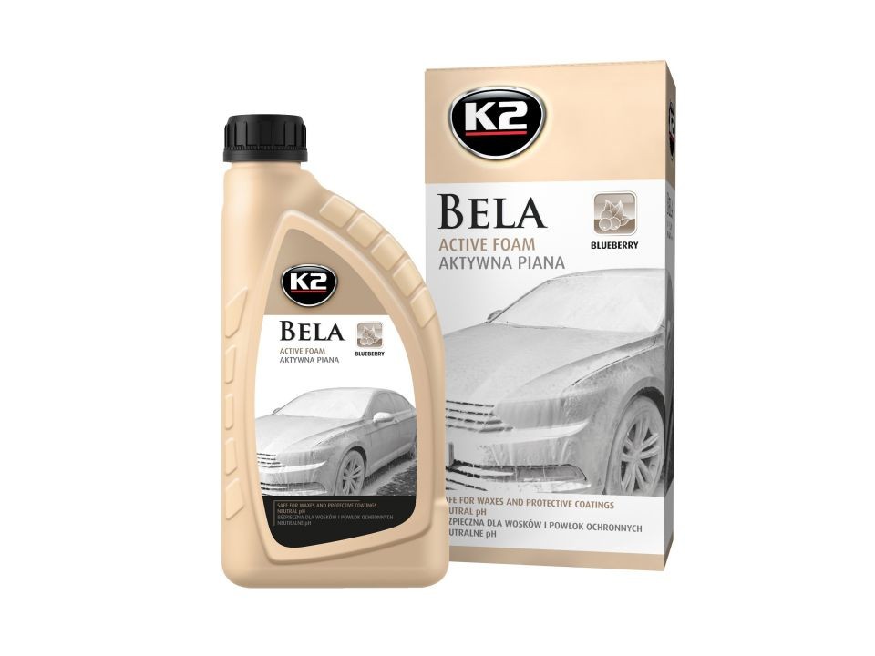 K2  G100BB Shampoo per macchina