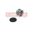 Saab Pulegge cinghie / ingranaggi KAMOKA Dispositivo ruota libera alternatore RC128