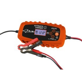 XL Chargeur d'entretien de batterie (553986)