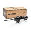 MONROE 14762821 Electronically adjustable shock strength, Gas Pressure, Suspension Strut, Bottom Clamp, Top pin