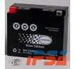 IPSA 12V 10Ah 125A ohne AGM-Batterie, Pluspol links TMBA51015