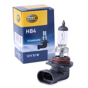 Bulb, spotlight HB4 12V 51W P20d Halogen 8GH 178 555-091 BMW 3 Series, 5 Series, X3