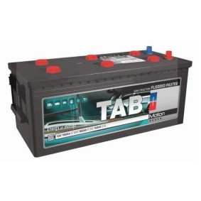 TAB Nutzfahrzeugbatterien 12V 140Ah 810A B3 Bleiakkumulator