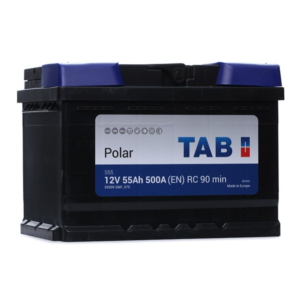 Bateria de arranque TAB Polar en 246055