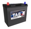 Original TAB 16152979 Batterie