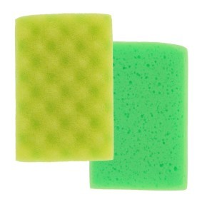 Carlinea Washing sponges