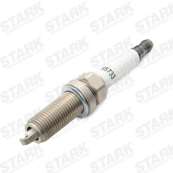 Candela motore STARK SKSP-19990320 conoscenze specialistiche