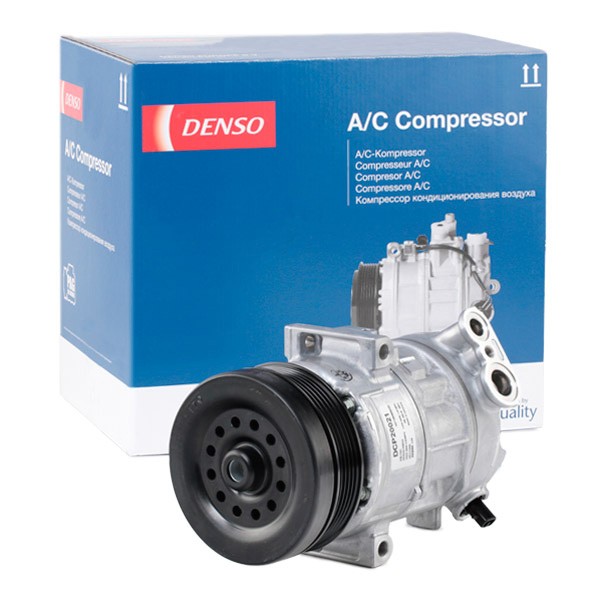 Compressore AC DENSO DCP20021 conoscenze specialistiche