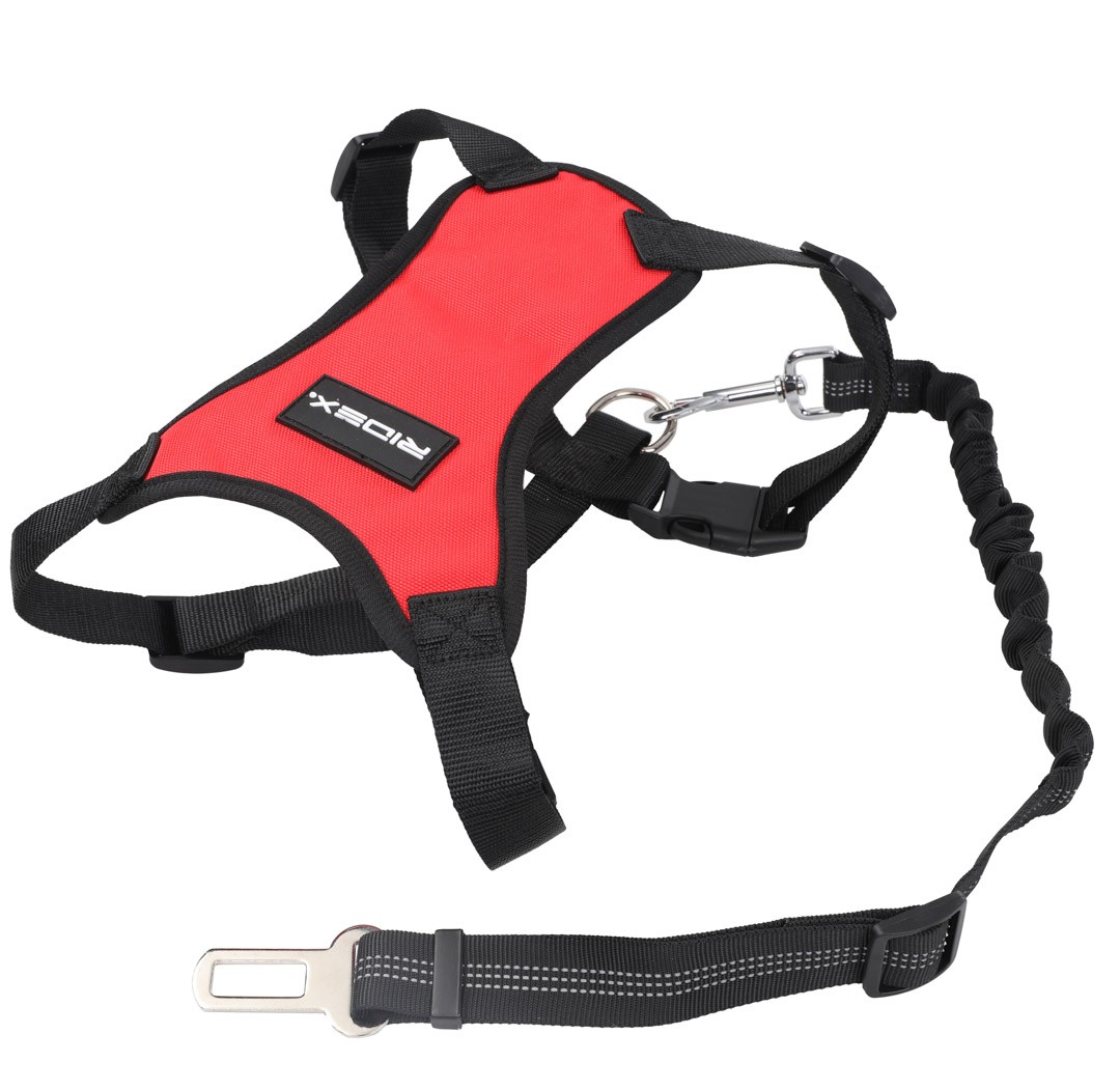 Cinturones de seguridad para perros RIDEX 100037A0004 conocimiento experto