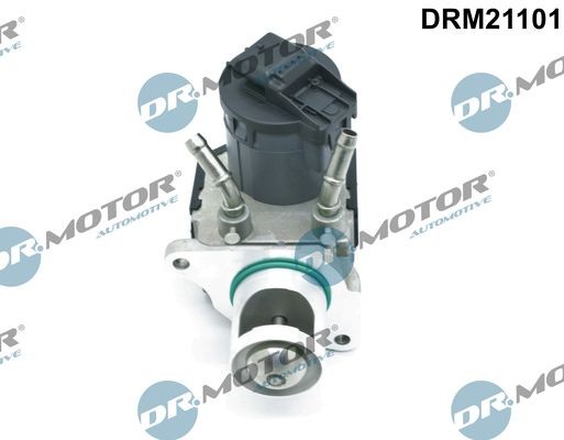 DR.MOTOR AUTOMOTIVE DRM21101 AGR-Ventil