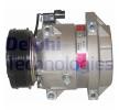 OEM Compressore, Climatizzatore DELPHI TSP0155880
