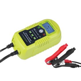 CARMOTION Battery chargers