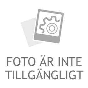 Bagagerumsnät THULE 595000