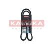 Smart Chain 19170724 KAMOKA V-Belt 7010308