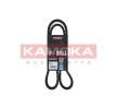 Smart Belt / chain drive 19170727 KAMOKA V-Belt 7010311