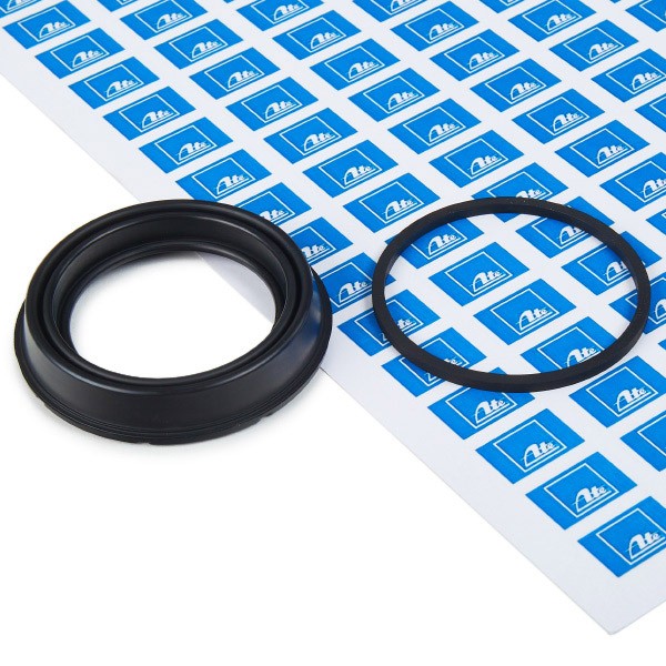 ATE Jeu de joints d'étanchéification, étrier de frein 11.0441-6008.2 RENAULT,SAAB,BMW,LAGUNA II BG0/