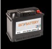 Original SKY BATTERY 20800817 Batterie
