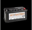 Original SKY BATTERY 20800820 Batterie