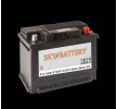 Original SKY BATTERY 20800821 Batterie