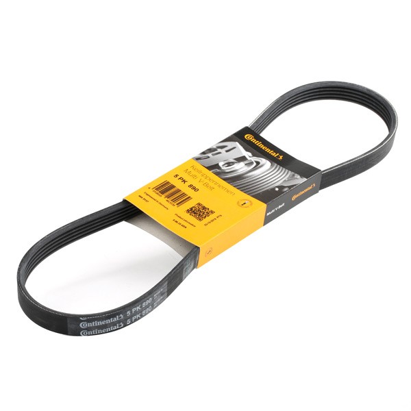 CONTITECH Courroie Trapézoïdale à Nervures 5PK890 BMW,FIAT,LANCIA,5 E39,3 E36,5 E34,3 Coupé E36,7 E3