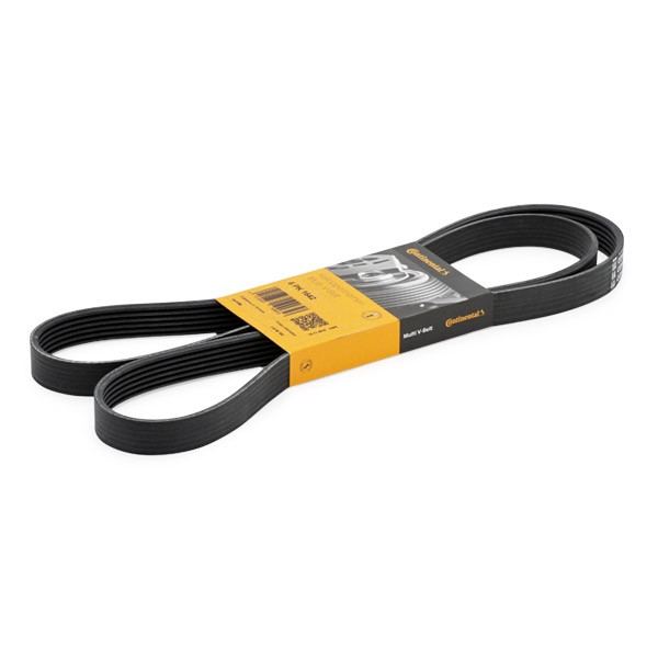 CONTITECH Courroie Trapézoïdale à Nervures 6PK1642 BMW,RENAULT,SUBARU,1 E87,SCÉNIC I JA0/1_,ESPACE I