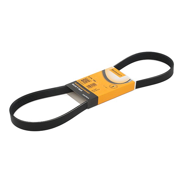 CONTITECH Courroie Trapézoïdale à Nervures 6PK995 FIAT,MERCEDES-BENZ,AUDI,DUCATO Caja/Chasis 244,DUC