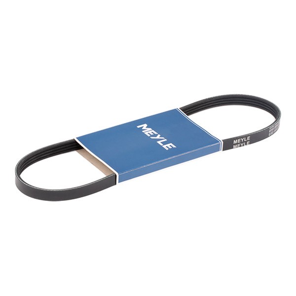 MEYLE Courroie Trapézoïdale à Nervures 050 004 0815 FIAT,LANCIA,SUBARU,SEDICI,Y10 156,JUSTY III G3X,