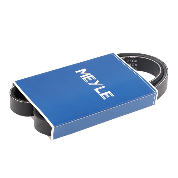 MEYLE Courroie Trapézoïdale à Nervures 050 005 0812 BMW,CITROËN,LAND ROVER,3 E46,5 E39,X5 E53,3 Tour