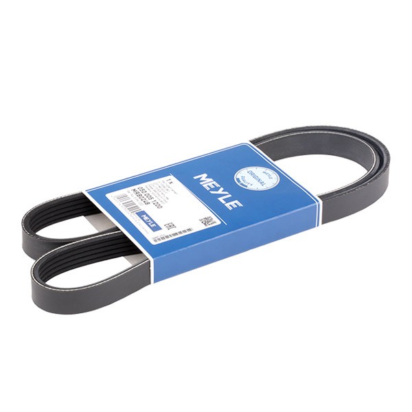 MEYLE Courroie Trapézoïdale à Nervures 050 005 1200 RENAULT,OPEL,NISSAN,CLIO II BB0/1/2_, CB0/1/2_,S