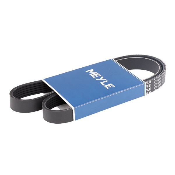 MEYLE Courroie Trapézoïdale à Nervures 050 006 1070 FIAT,LANCIA,AUDI,ULYSSE 220,KAPPA 838A,ZETA 220,