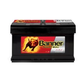 Batterie BannerPool 013580140101