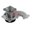 Cooling system 2445130 AIRTEX 1619 Water pump