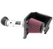 CHARGER 2013 K&N Filters 2735620