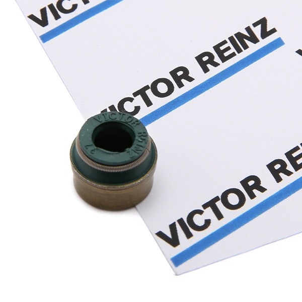 Image of REINZ Gommini Valvole 70-26058-00 Paraolio Valvole,Anello tenuta, Gambo valvola VW,AUDI,MERCEDES-BENZ,Golf IV Schrägheck (1J1),Golf V Schrägheck (1K1)009