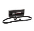 Buy DODGE Drive belt kit 5645XS GATES K015645XS online