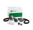 Comprare INA 530055032 Pompa acqua + kit cinghia distribuzione 2010 per VW Golf 6 online