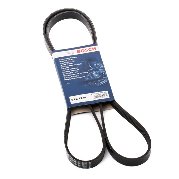BOSCH Courroie Trapézoïdale à Nervures 1 987 946 238 MERCEDES-BENZ,CLASE B W245,CLASE A W169,CLASE A