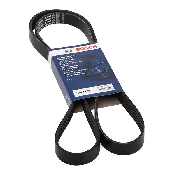 BOSCH Courroie Trapézoïdale à Nervures 1 987 946 256 RENAULT,HONDA,ESPACE IV JK0/1_,MEGANE III Fastb